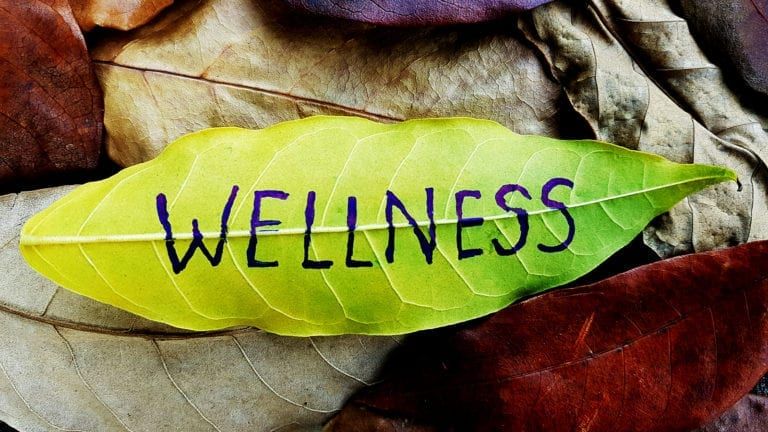 Leaf with word Wellness Written on it