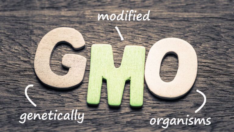 What are the Pros and Cons of GMO Foods?